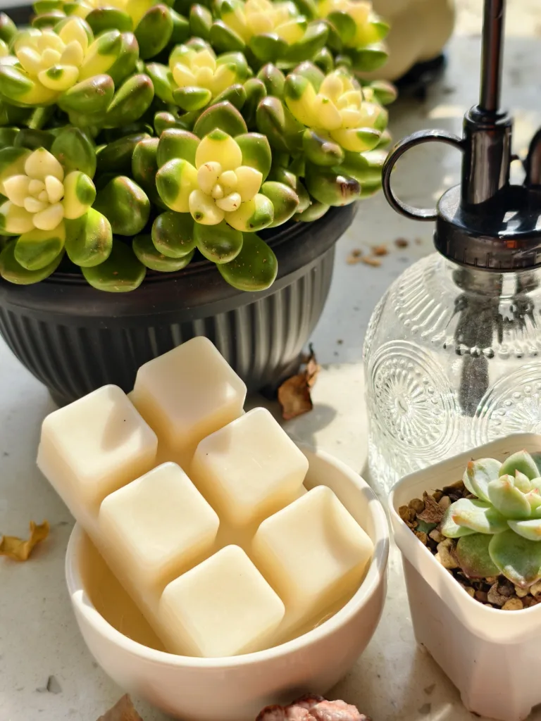 How to Expand Your Retail Product Line Starting with Wax Melts: A Strategic Guide for Established Candle and Fragrance Brands 3 Circe Home wax melts sample displayed in ceramic dish with smooth cube structure, showcasing clean finish, uniform color, and premium private label fragrance manufacturing quality